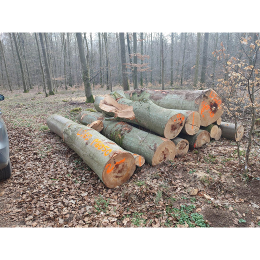 Laubenergieholz (Buche) - 4,04 Fm (Hungen)