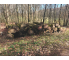 Laubenergieholz (Buche) - 14,27 Fm (Idstein)