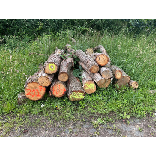 Laubenergieholz (Eiche) - 2,12 Fm (Idstein)