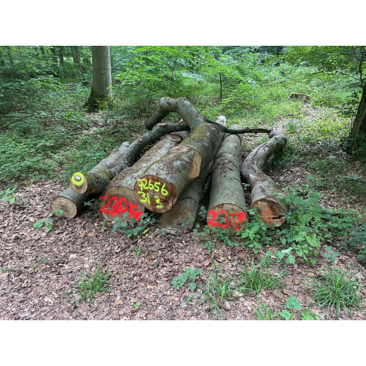 Laubenergieholz (Buche) - 2,3 Fm (Idstein)