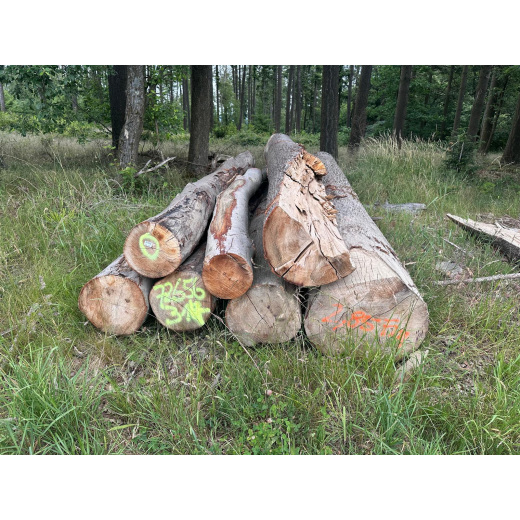 Laubenergieholz (Buche) - 2,85 Fm (Idstein)