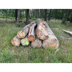 Laubenergieholz (Buche) - 2,85 Fm (Idstein)