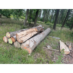 Laubenergieholz (Buche) - 2,85 Fm (Idstein)