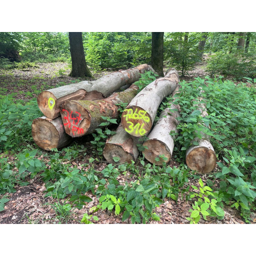 Laubenergieholz (Buche) - 3,47 Fm (Idstein)