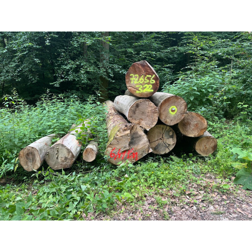 Laubenergieholz (Buche) - 6,41 Fm (Idstein)