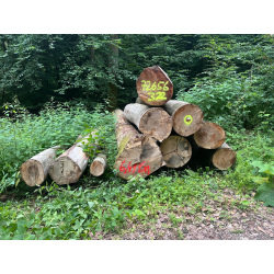 Laubenergieholz (Buche) - 6,41 Fm (Idstein)