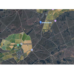 Laubenergieholz (Buche) - 6,41 Fm (Idstein)