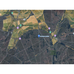 Laubenergieholz (Eiche) - 3,13 Fm (Idstein)
