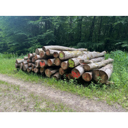 Laubenergieholz (Buche) - 9,94 Fm (Idstein)