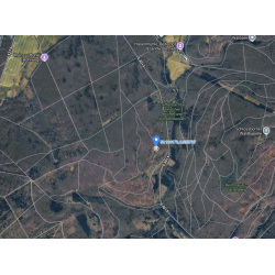 Laubenergieholz (Buche) - 9,94 Fm (Idstein)