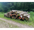 Laubenergieholz (Buche) - 9,94 Fm (Idstein)