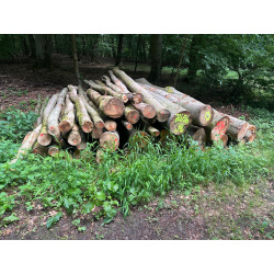 Laubenergieholz (Buche) - 9,36 Fm (Idstein)