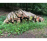 Laubenergieholz (Buche) - 9,36 Fm (Idstein)