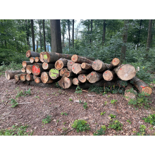 Laubenergieholz (Buche) - 9,69 Fm (Idstein)