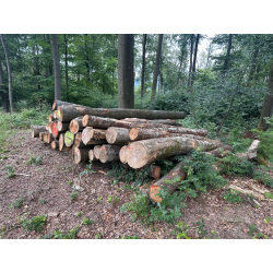 Laubenergieholz (Buche) - 9,69 Fm (Idstein)