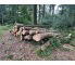 Laubenergieholz (Buche) - 9,69 Fm (Idstein)