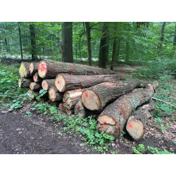 Laubenergieholz (Eiche) - 6,39 Fm (Idstein)