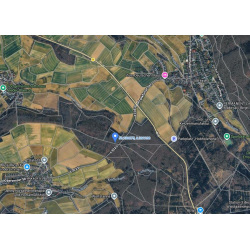 Laubenergieholz (Eiche) - 6,39 Fm (Idstein)