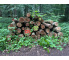Laubenergieholz (Buche) - 8,97 Fm (Idstein)