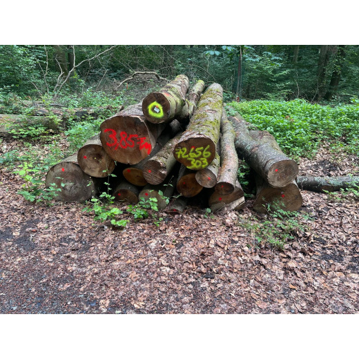 Laubenergieholz (Buche) - 3,85 Fm (Idstein)