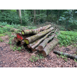Laubenergieholz (Buche) - 3,85 Fm (Idstein)