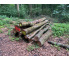 Laubenergieholz (Buche) - 3,85 Fm (Idstein)