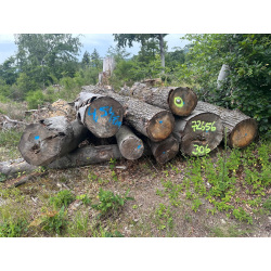 Laubenergieholz (Buche) - 4,54 Fm (Idstein)