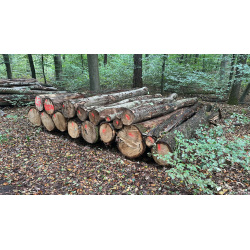 Laubenergieholz (Eiche, Buche) - 7,29 Fm (Dreieich)