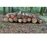 Laubenergieholz (Eiche, Buche) - 7,29 Fm (Dreieich)