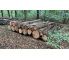 Laubenergieholz (Eiche, Buche) - 7,29 Fm (Dreieich)