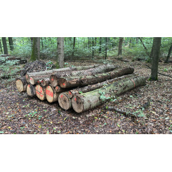 Laubenergieholz (Buche, Eiche) - 4,36 Fm (Dreieich)
