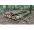 Laubenergieholz (Buche, Eiche) - 4,36 Fm (Dreieich)