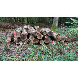 Laubenergieholz (Buche) - 6,12 Fm (Dreieich)