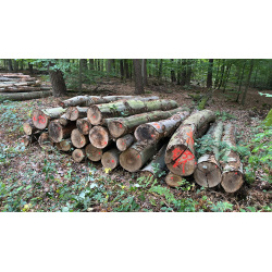Laubenergieholz (Buche) - 6,12 Fm (Dreieich)