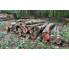 Laubenergieholz (Buche) - 6,12 Fm (Dreieich)