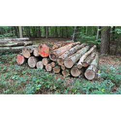 Laubenergieholz (Buche) - 5,75 Fm (Dreieich)