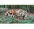 Laubenergieholz (Buche) - 5,75 Fm (Dreieich)