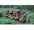 Laubenergieholz (Buche) - 5,89 Fm (Dreieich)