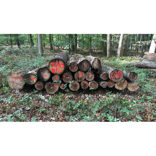 Laubenergieholz (Roteiche, Buche) - 4,89 Fm (Dreieich)