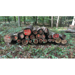 Laubenergieholz (Roteiche, Buche) - 4,89 Fm (Dreieich)