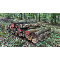 Laubenergieholz (Roteiche, Buche) - 4,89 Fm (Dreieich)