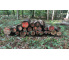 Laubenergieholz (Roteiche, Buche) - 4,89 Fm (Dreieich)