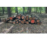 Laubenergieholz (Roteiche) - 5,30 Fm (Dreieich)