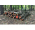 Laubenergieholz (Roteiche) - 5,30 Fm (Dreieich)