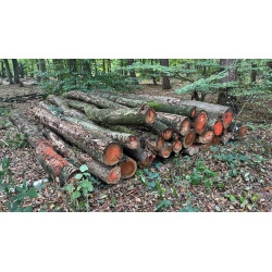 Laubenergieholz (Birke) - 3,98 Fm (Dreieich)