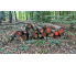 Laubenergieholz (Birke) - 3,98 Fm (Dreieich)