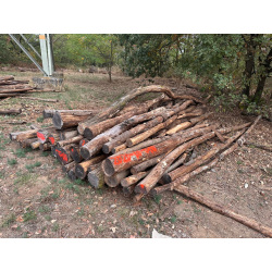 Polter 2026-10-010: Laubenergieholz (Eiche) - 2,5 Fm (Kelsterbach)