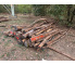 Polter 2026-10-010: Laubenergieholz (Eiche) - 2,5 Fm (Kelsterbach)