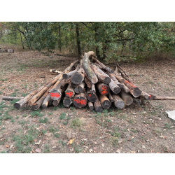 Polter 2026-10-011: Laubenergieholz (Eiche) - 3,3 Fm (Kelsterbach)
