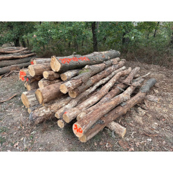 Polter 2026-10-012: Laubenergieholz (Eiche) - 3,0 Fm (Kelsterbach)